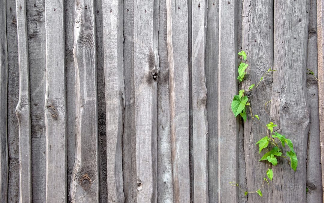 3 Signs It Is Time to Repair Your Fence