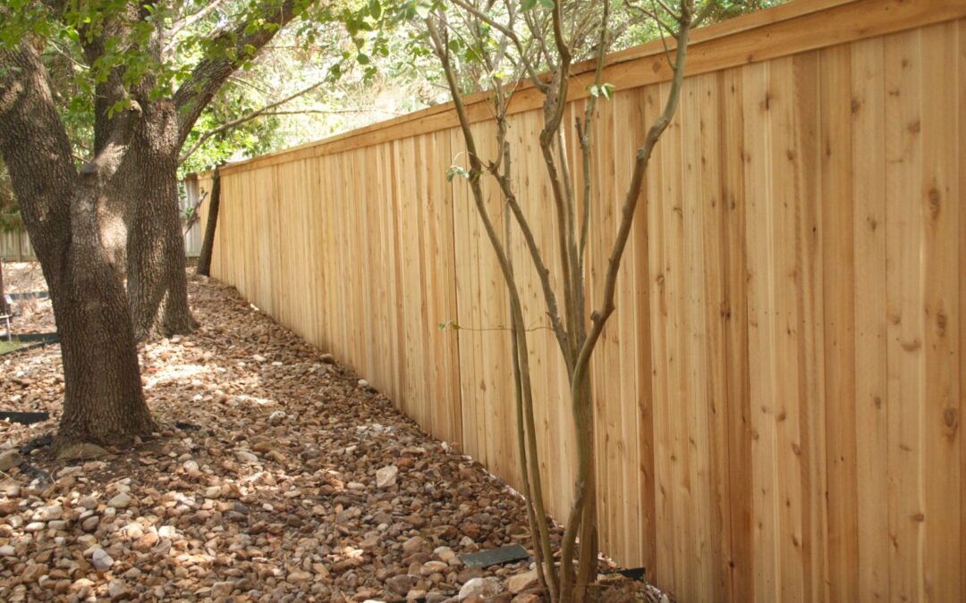 5 Compelling Reasons to Choose a Cedar Fence for Your Home in San Antonio