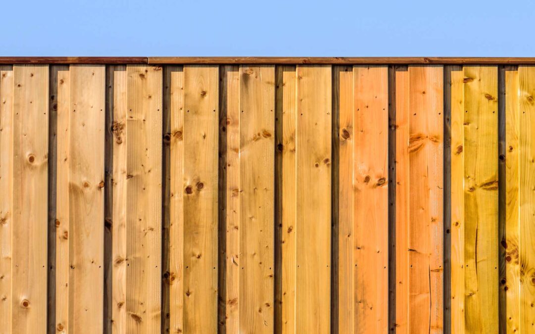 5 Summer Care Tips for Your Wooden Fence in the San Antonio Area