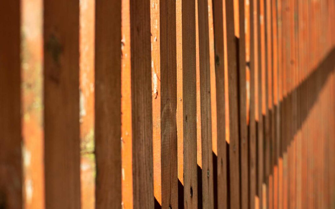 Wood vs. Metal Fences: Which Holds Up Better During San Antonio Winters?